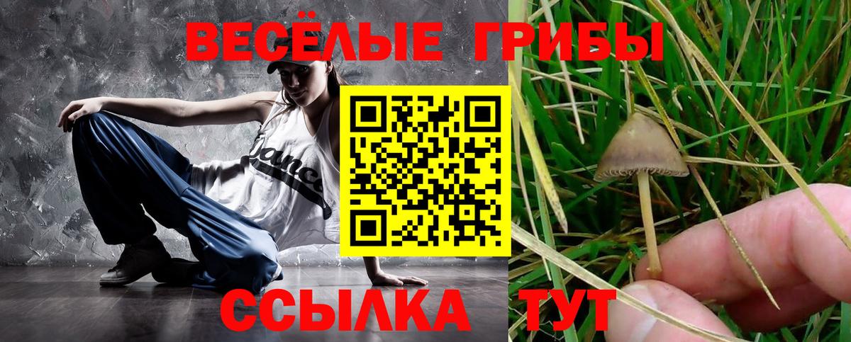Псилоцибиновые грибы MAGIC MUSHROOMS  Галлюциногенные грибы MAGIC MUSHROOMS  Новокуйбышевск  Вход с VPN 